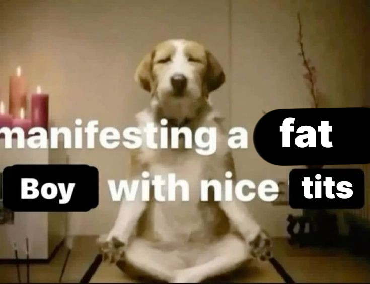 fat cat🔞 tweet media