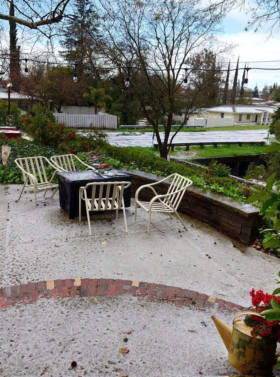 Crazy weather today around Sacramento! Thunder lightning, rain then hail! Look how pretty it is close up. And you can see it covering the rooftops and streets as well!
#sacramentoweather
#citrusheights
#hail 
#weather