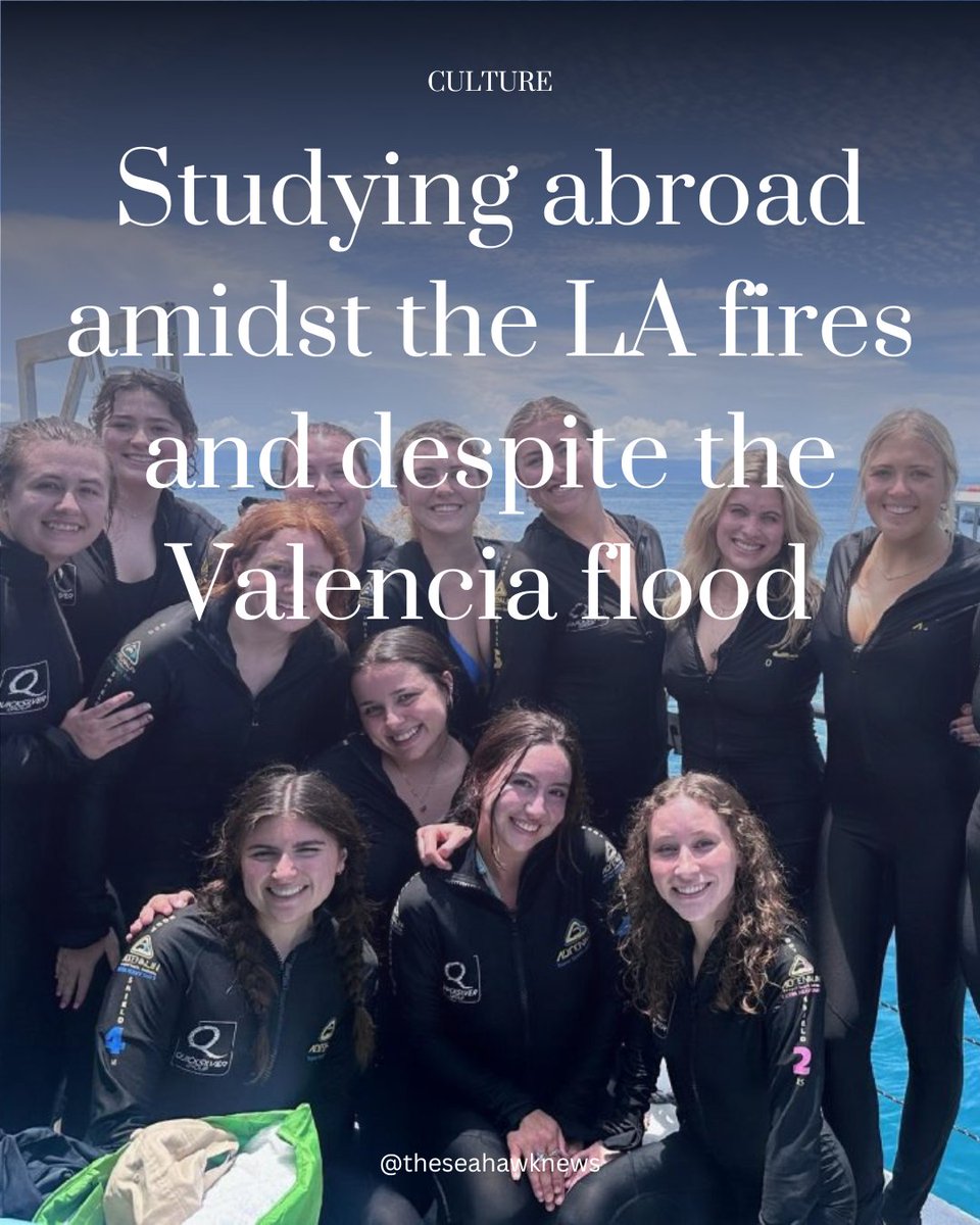 The Seahawk tweet media