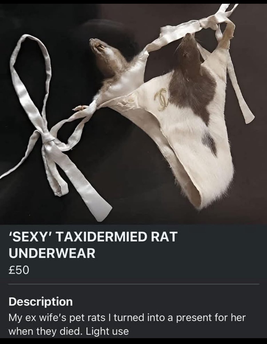 I thought scorned women were bad. 

Fellas. Wow. 🤣🤣🤣