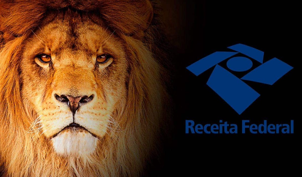 klinsmann_nego's tweet image. E amigos, chegou a época.
O leão da receita foi solto🦁.