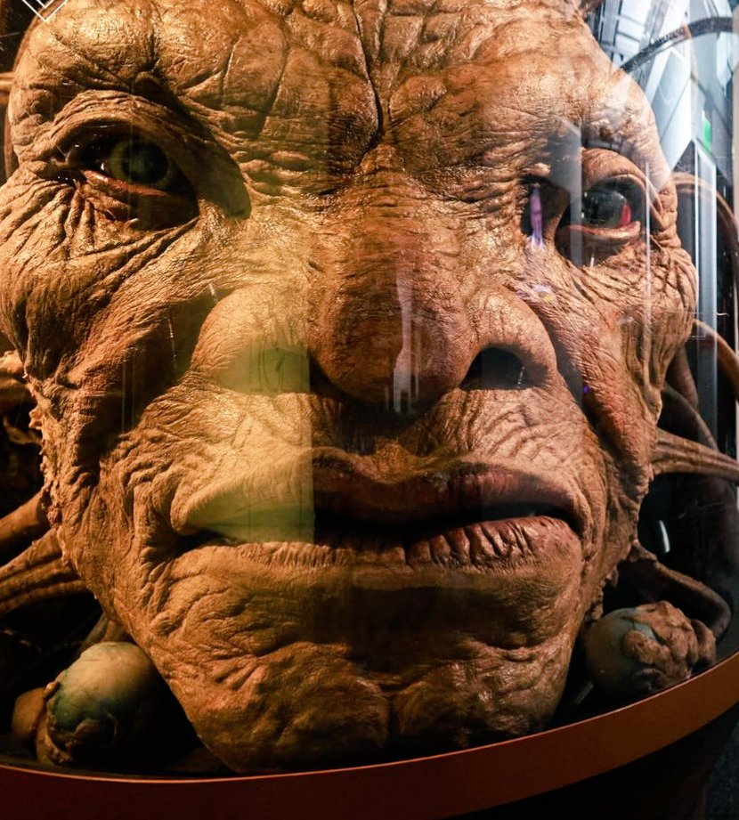 When you accidentally open the front camera...