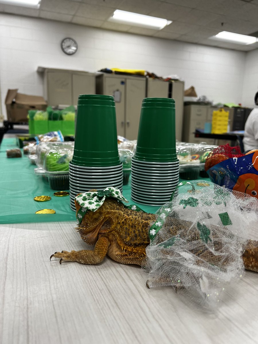 Rolan's 6th Grade Science tweet media