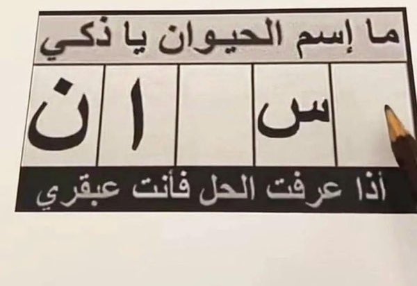 قورجس tweet media