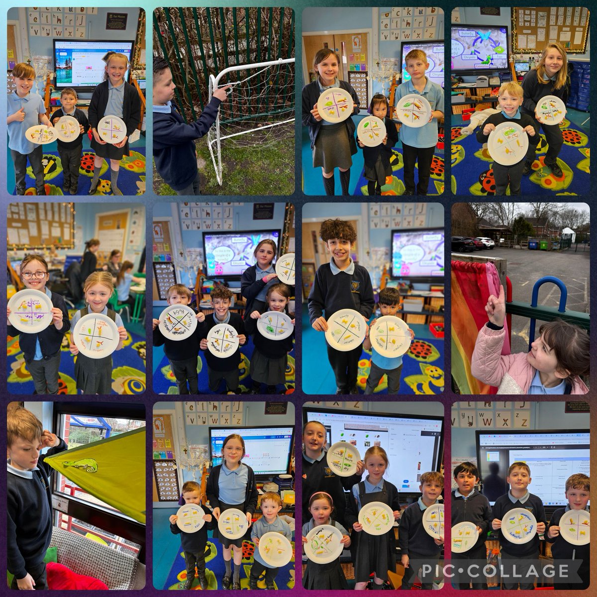 sciencesteddies's tweet image. What a fantastic Science Day we&apos;ve had to celebrate British Science Week 2025. We completed 4 different activities in our house teams linked to this year&apos;s theme of &apos;Change and Adapt&apos;. Well done everyone! @ScienceWeekUK #BSW25 #stedwardsscience