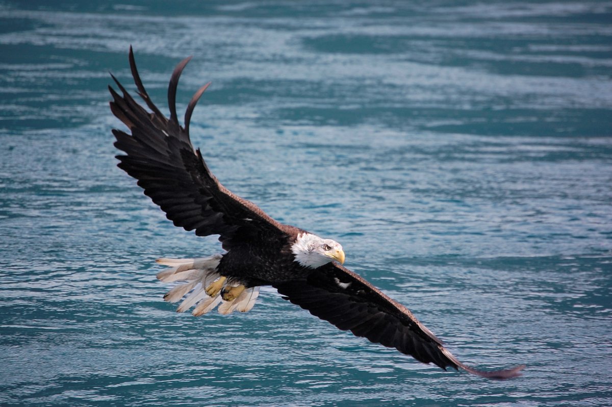 It takes a bit of luck (and patience!) to spot some of Sonora’s most elusive wildlife. 🍀 What’s the luckiest wildlife encounter you hope to see at Sonora Resort? #WildlifeWonder #LuckyAtSonora #RelaisChateaux #StPatricksDay