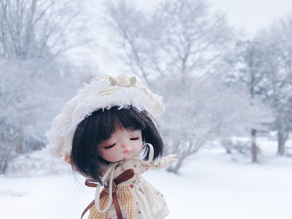 eisheilige19's tweet photo. うちのこ達、相変わらず私と一緒に様々な土地を「見て」くれています。これらは八ヶ岳、熊野、瀞峡、青木ヶ原、みんな私の思い出深い大好きな場所。
時が流れてもこの子達はこの姿のまま。沢山の見たものを覚えていて欲しいな。
#うちのこかわいい
#ayodoll #dollzone #heavyrain #littlerain https://t.co/2MbQMcq9t1
