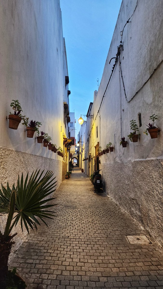 Audrie | MiBrava tweet media