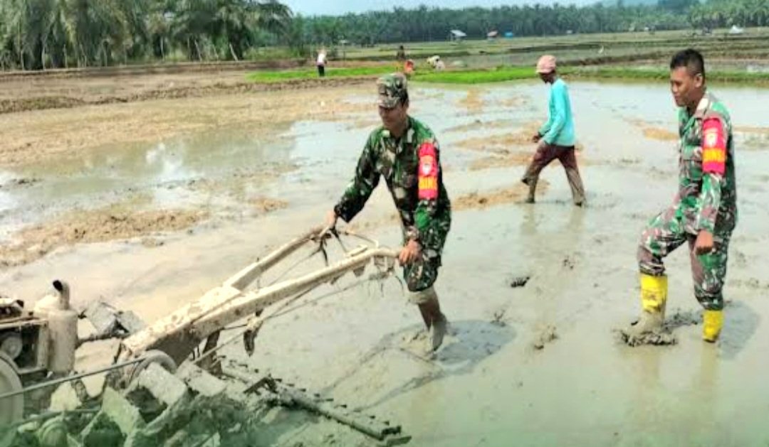 Kalau Pak TNI bertani &amp; berkebun, trs latihan perangnya kapan? Kalau tiba-tiba musuh dtg menyerang gimana? Teknologi Tentara asing sdh canggih lho pak.
Negara lain pasti mngintai kita, "Tentara 🇮🇩 sedang bertani,yuk kita serang",nah pas Pak TNI bawa traktor,trs gimana dong?🙈😫