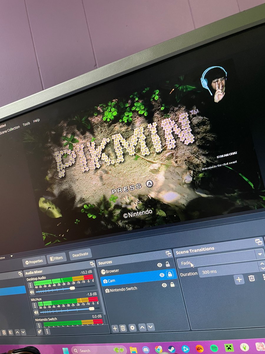 Chapas___'s tweet photo. Come join me as I play Pikmin and Overwatch! https://t.co/Oeex3HVsit
