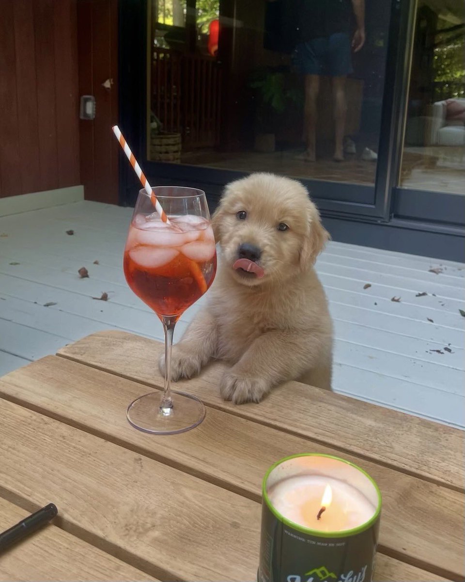 This is Bodhi. He's just gonna give you his car keys right now. 12/10
