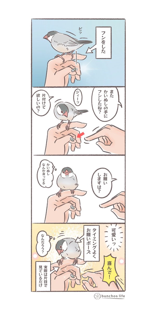 タイミングのよいお願いポーズで何でも言うこと聞いてしまうかいぬし
#文鳥 
#4コマ漫画 