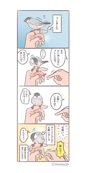 タイミングのよいお願いポーズで何でも言うこと聞いてしまうかいぬし
#文鳥 
#4コマ漫画 