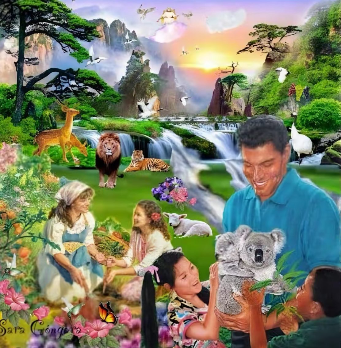 Jalisco según el CJNG.