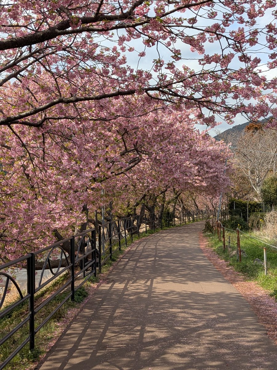 BotFish_'s tweet photo. Place, Japan https://t.co/oI0VoPwX7O