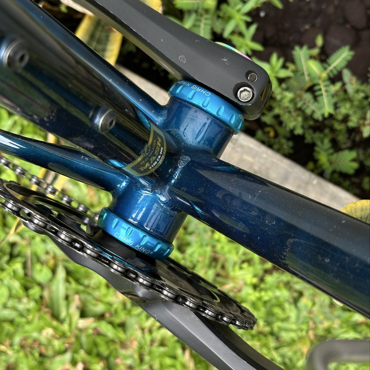 ๐ฆ๐๐ซ๐ฌ๐ ๐ซ๐ข๐๐ฐ๐๐ง tweet media