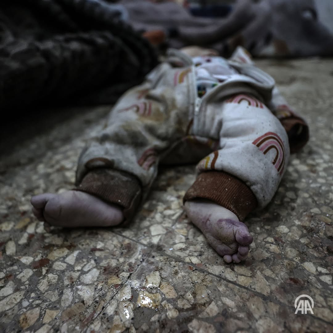 Eye on Palestine tweet media