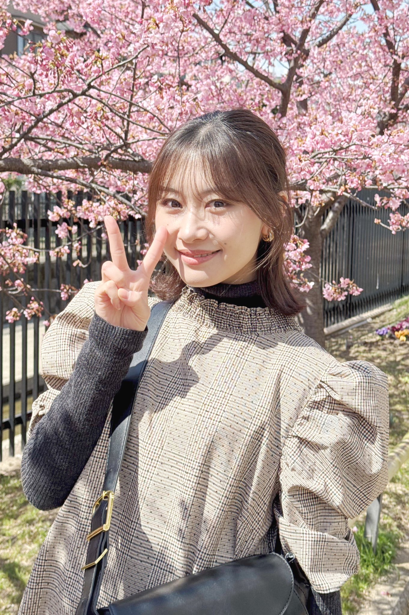 桜 桜パトロール🌸 『穴観音公園のコヒガンザクラ』 会社帰りに寄っ
