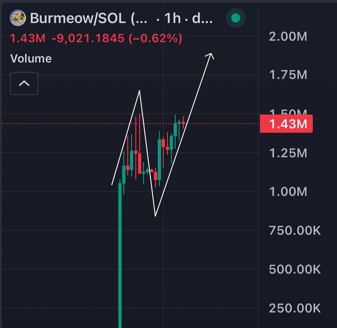 Going bullish again on #Burmeow