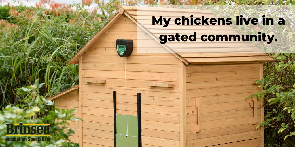 They may be a little spoiled... bit.ly/32g1dJx