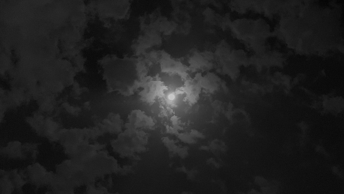 و إنِّي لُأحْسِدَنَّ هذا القمر 
لِأَنَّهُ يرَى الحَبِيبُ و لا أراه 
كَمِسْكِينٌ رُزِقْ بِمالٍ و ثمَر 
نهبه سارِقٌ و ما تهنّى بِهِ أخاه 
ليت شوقي عابِرُ سَبِيلٍ و مَرّ 
لكِنّهُ في كُلَّ يومٍ يُلَقِّنُنِي أَوّاه.