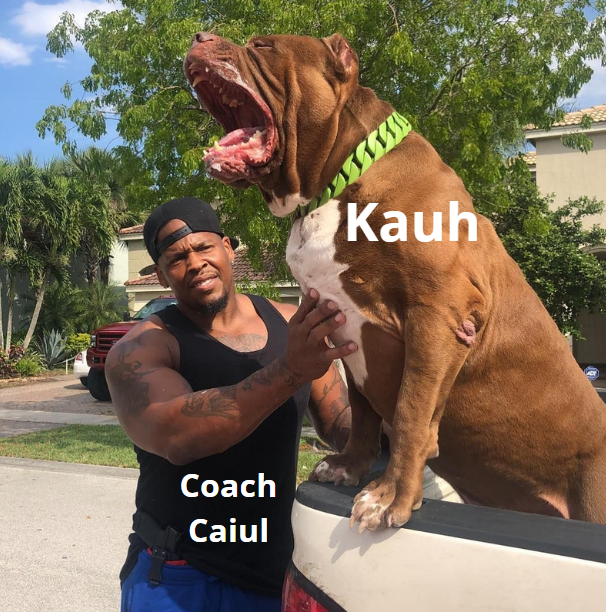 CaiulSz tweet media