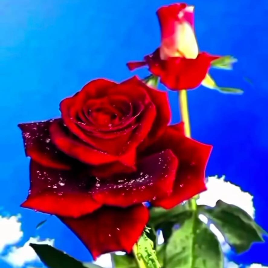 #NewProfilePic