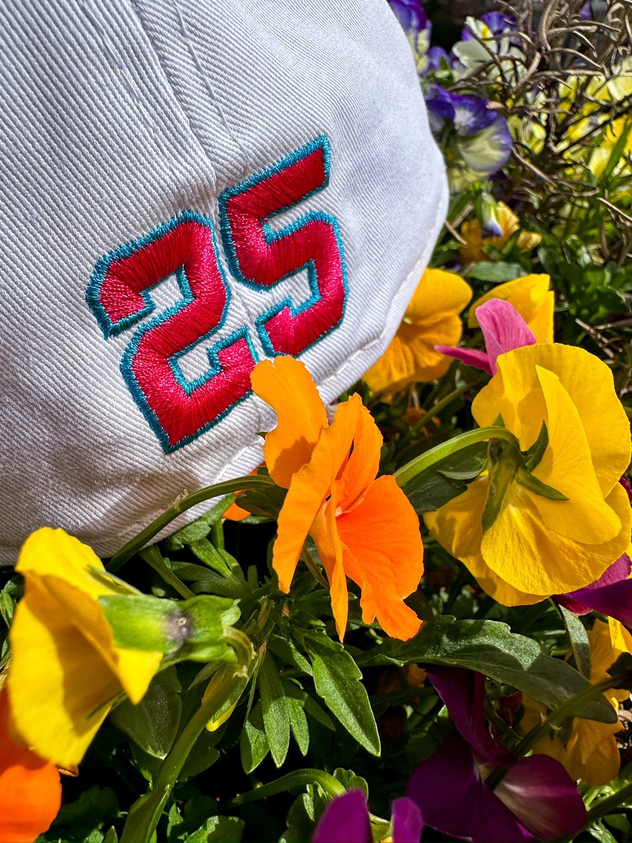 bravesthreads's tweet image. 🚨SNEAK PEEK! NEW @andruwjones25 designed caps are launching THIS SATURDAY 3/22 with an in-store appearance from the @braves legend himself! Purchase anything from the AJ25 Collection at Threads from 5-6pm & get one autograph from Andruw Jones!! In-store only, while supplies last