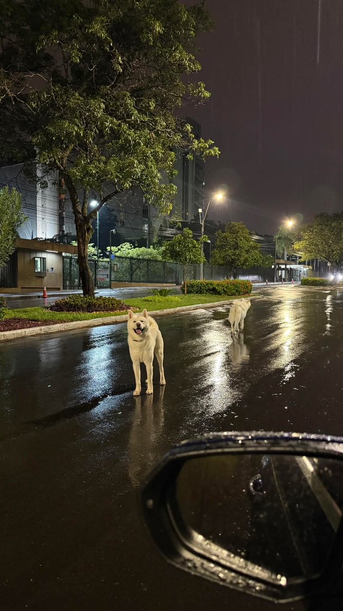 Urgente, están perdidos frente al BCP. Se les nota cansados!!
