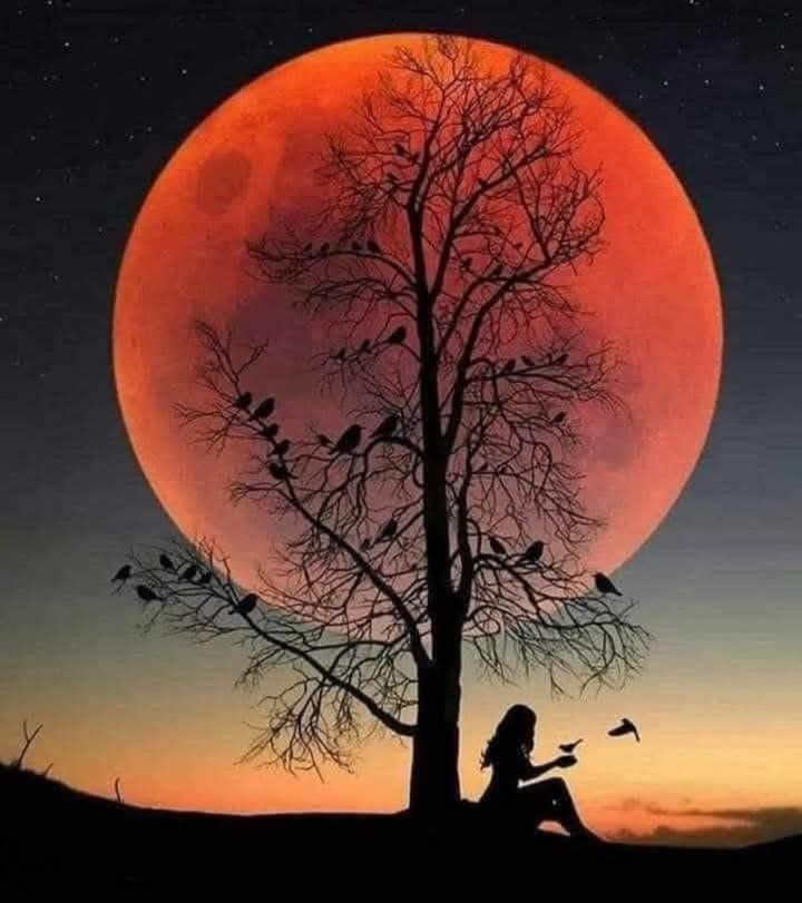 Good morning x family 😘💕 
یا  اللّٰہ پاک ہمارے مغفرت فرمائے آمین 🥀💕