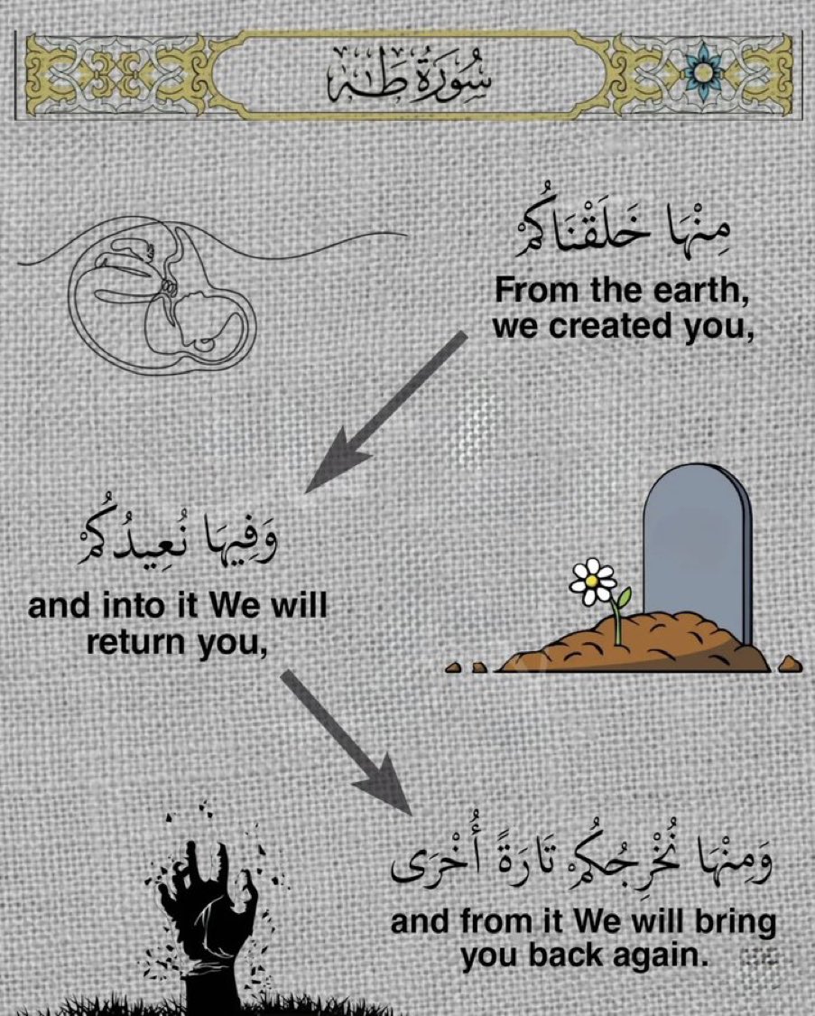 بروفسور. منال بنت عبدالعزيز العيسى tweet media