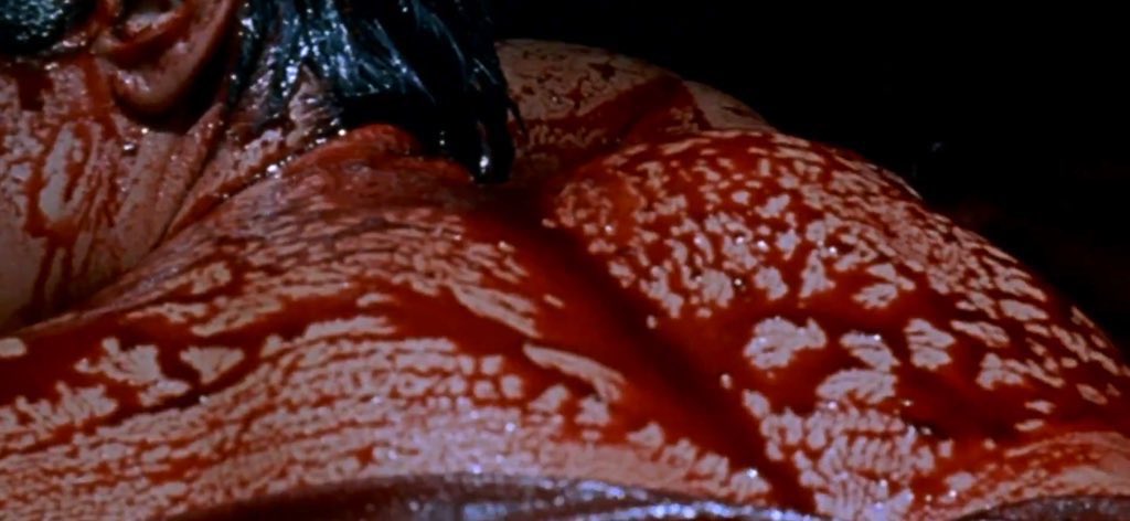 Movies from HELL tweet media