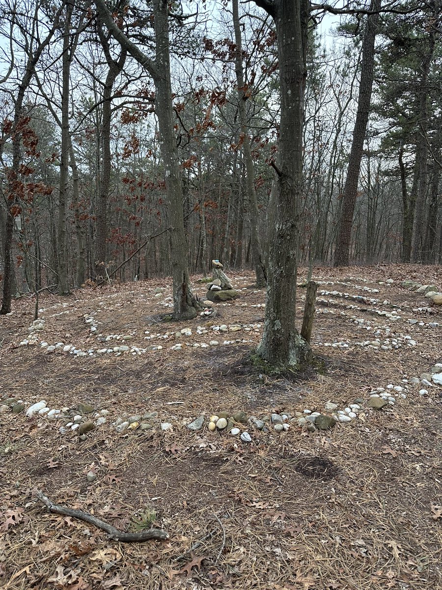 Been going on walks/hikes on the same trails and stumbled across this for the first time….. ritual site???

Am I hexed now???