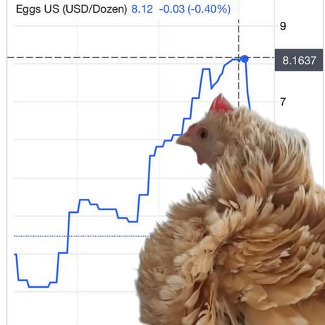 chicken says long it!!! $KFC

9pKkF5YtXQ5EEpqnp2hYVKYDfbcERLp4oW8JcQ63pump