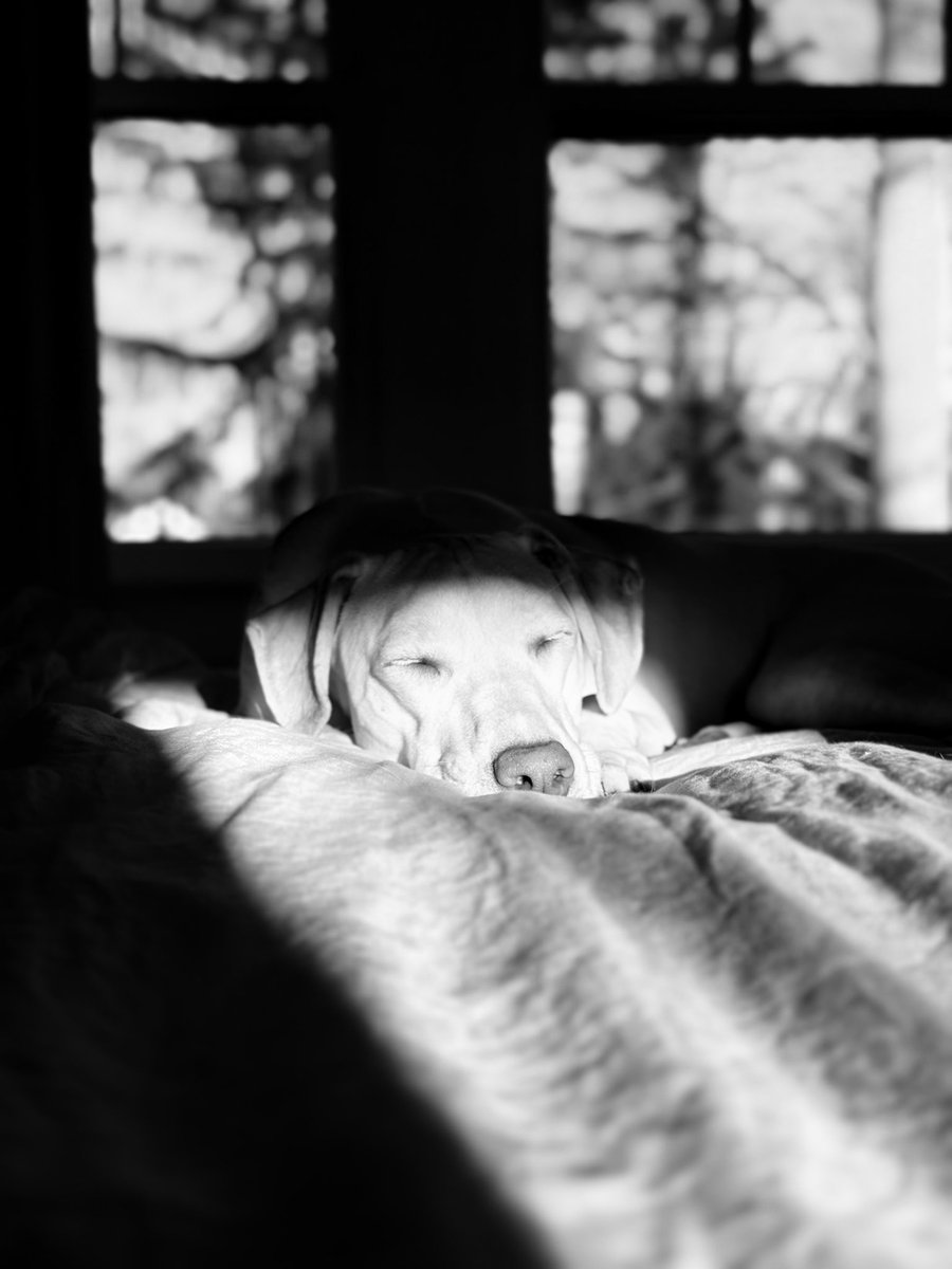 Phones cameras have come a long way