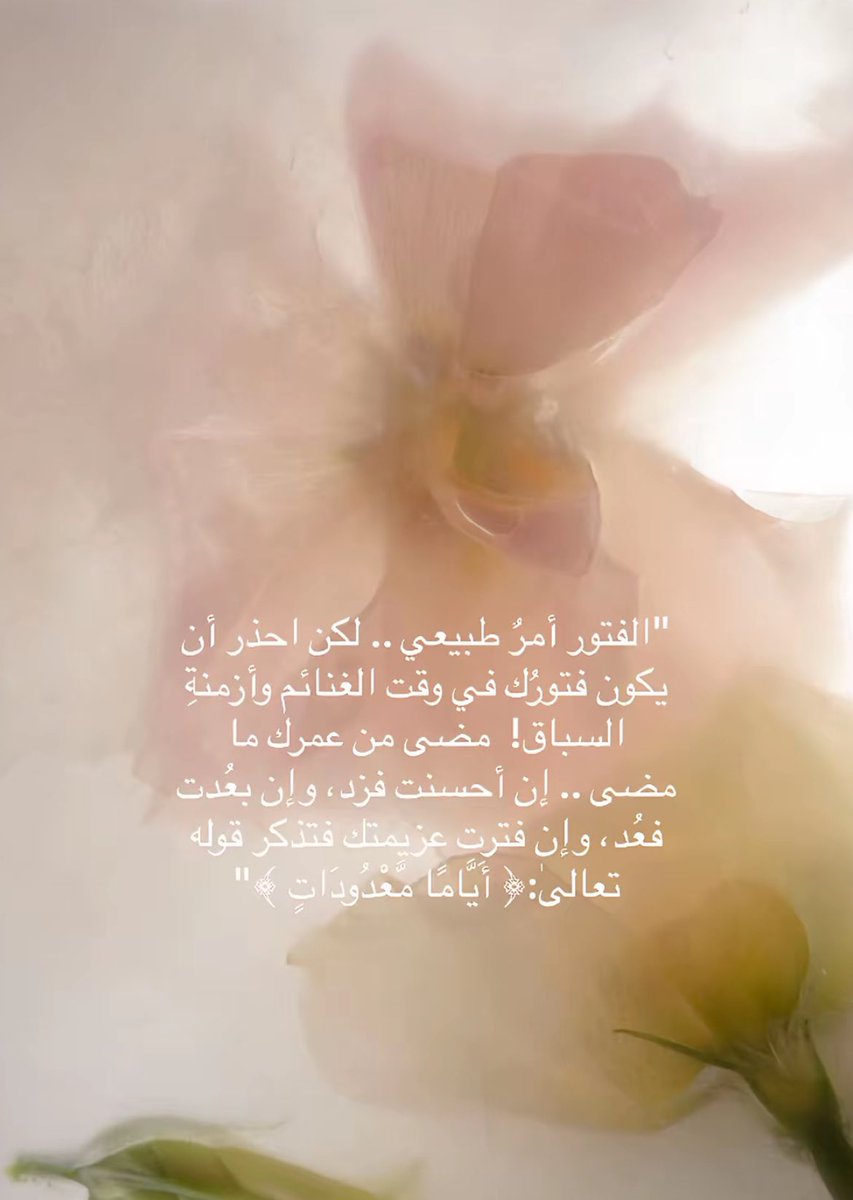 _nLamia's tweet photo. https://t.co/UhqdQyukPK