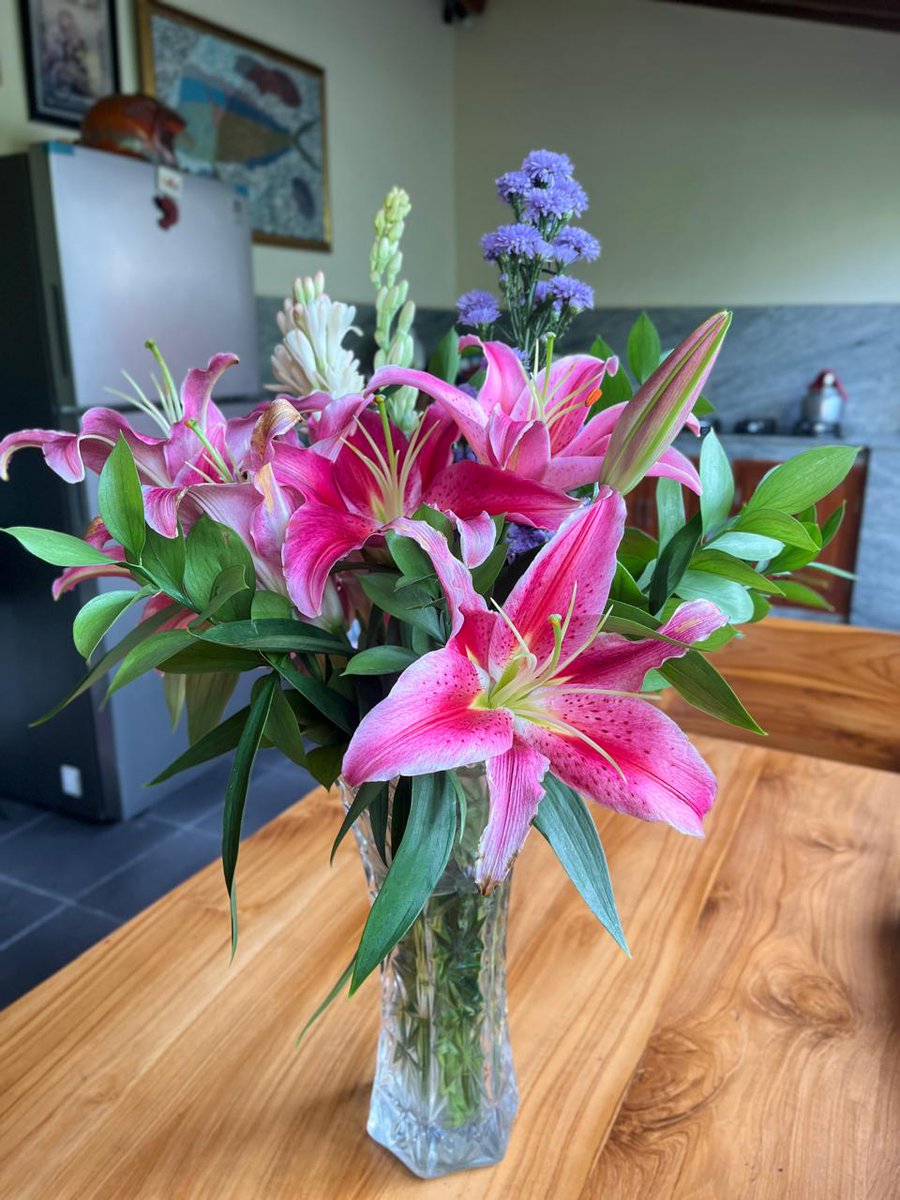 Steve Castley - Writer tweet media