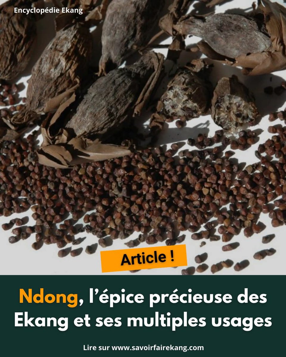 🔔#Ndong, 𝗹’é𝗽𝗶𝗰𝗲 𝗽𝗿é𝗰𝗶𝗲𝘂𝘀𝗲 𝗱𝗲𝘀 𝗘𝗸𝗮𝗻𝗴 𝗲𝘁 𝘀𝗲𝘀 𝗺𝘂𝗹𝘁𝗶𝗽𝗹𝗲𝘀 𝘂𝘀𝗮𝗴𝗲𝘀 

🔗Lire l'article en cliquant ici 👇
savoirfairekang.com/ndong-lepice-p…

#savoirfaireekang  #encyclopédieEkang #LeNdong  #encyclopédieDesSavoirFaireEkang #TraditionEkang #CultureEkang