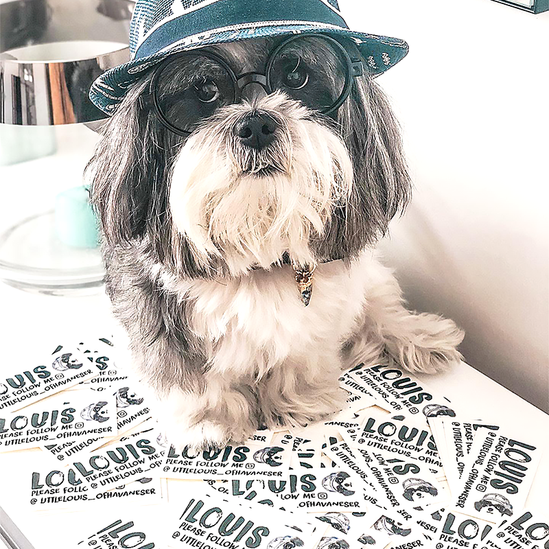 StickerCanada's tweet image. These stickers are paws-itively adorable! 🐾✨ Just like @glitzerpfoten, you can get your own custom logo stickers at stickercanada.com and stick them anywhere! Let’s spread the cuteness one sticker at a time! 😍🎉

#StickerCanada #StickerFun #CheapCustomStickers