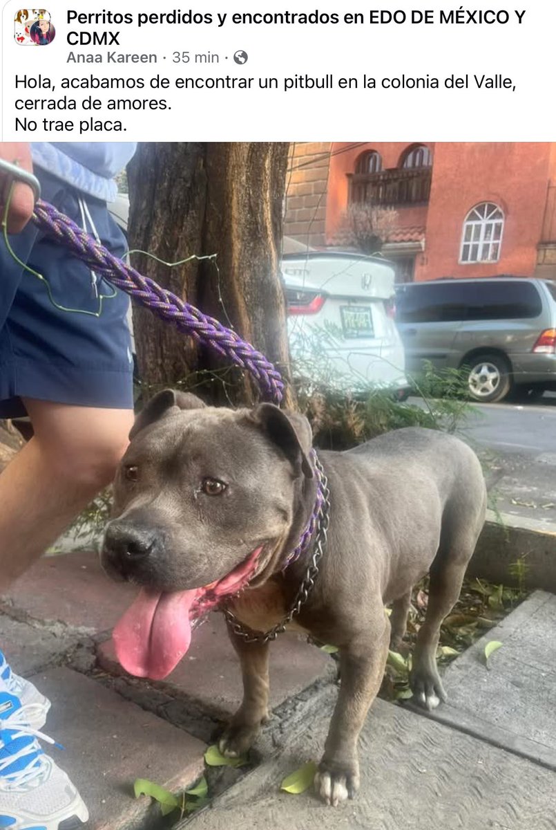 Marianaonshine's tweet image. Comparto 🐾 encontrado @En_laDelValle @NarvarteVecinos @ColDelValleBJ @En_Narvarte @_Narvarte @InsMixcoac @InsugenSanBorja @La_Portales @LaNapolesCdMx @MascotasSismo @perrososmx @PerdiDogsCDMX