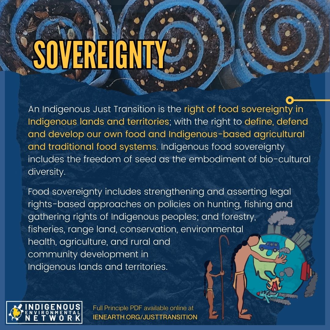 ✊🏽 Indigenous Just Transition is sovereignty in action. It’s about reclaiming our rights to land, water, and ways of life—shifting from extraction to regeneration on our own terms. By centering Indigenous leadership, laws, and traditions, we are building a future where our