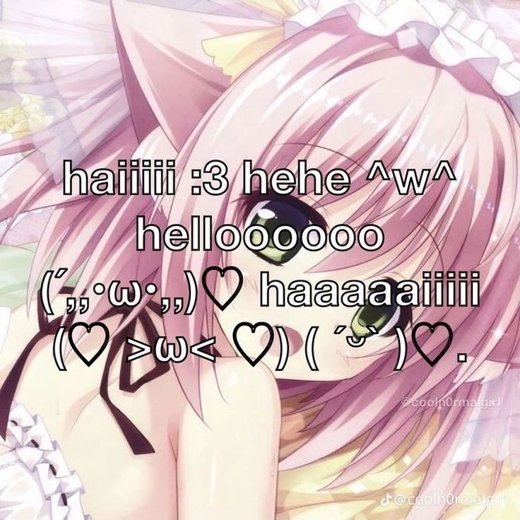 hitorikitty's tweet photo. ☆ hiii I'm new to #nsfwtwt ☆

bored
19yo
sanrio girl 
will probably sell content :3
sub
DM’s open 

☆ need some moots to talk to ☆

♡ + rt to be mutuals <33 https://t.co/7Q90TiZr8q
