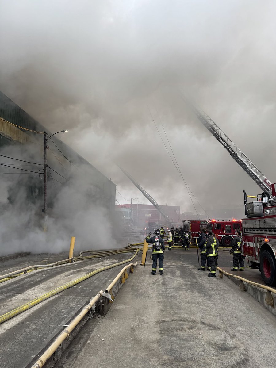 Live Boston News tweet media