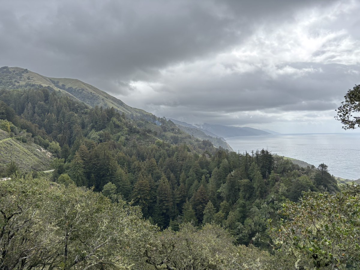 Alex Predhome, Vagueposter tweet media