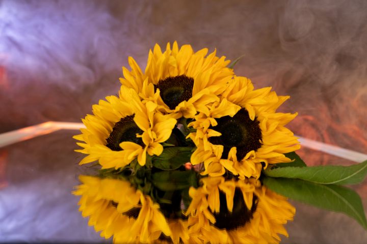natashabin's tweet photo. Art of the Day: "Sunflowers with reflection.". Buy at: https://t.co/4KkMliCFZn https://t.co/G7oCW2OJDy