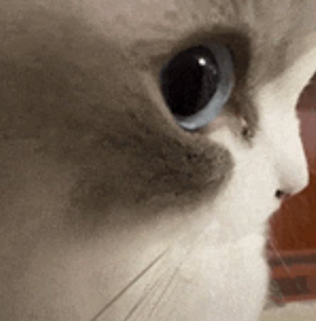 人家还没挣上钱怎么就给别人挣上了…这些人太坏了！