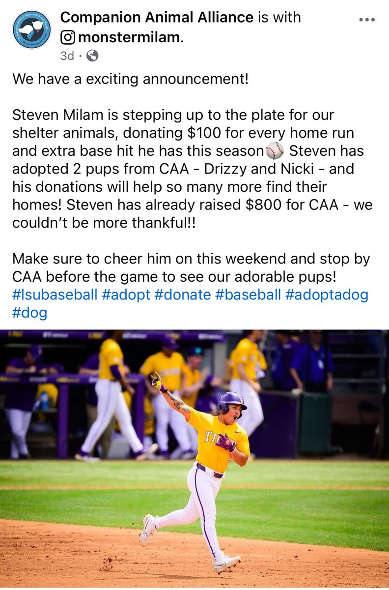 Monster_Milam99's tweet image. This season I partnered with @CAABatonRouge to raise money for shelter animals 🐾 Today I donated another $200 for the Missouri series HR and double. 

Stop by CAA before our game tomorrow night 🐶 or click to donate:

caabr.org/donate?campaig…