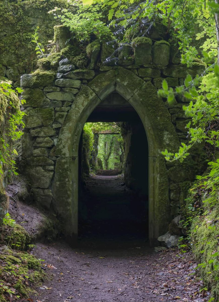 ThisIsIreland3's tweet image. A stone archway and tunnel on the Pigeon Hole Loop nature walk in the Cong Forest, Mayo. 🇮🇪
Hauntingly beautiful 💚

📍Co. Mayo, Éire ☘️ 

📸  Jeff Mauritzen

#Mayo #Ireland #Haunting #Beauty
