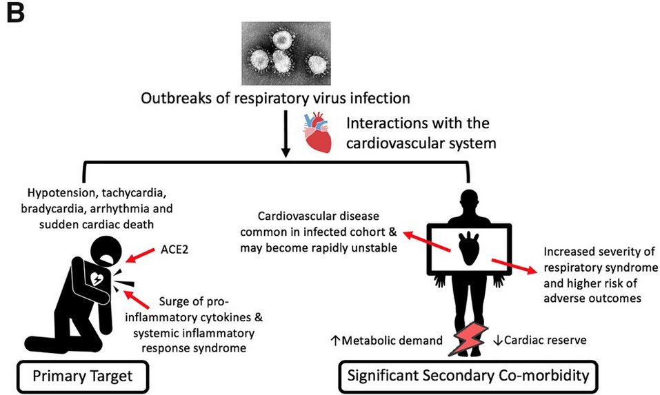 Eva Stumm tweet media