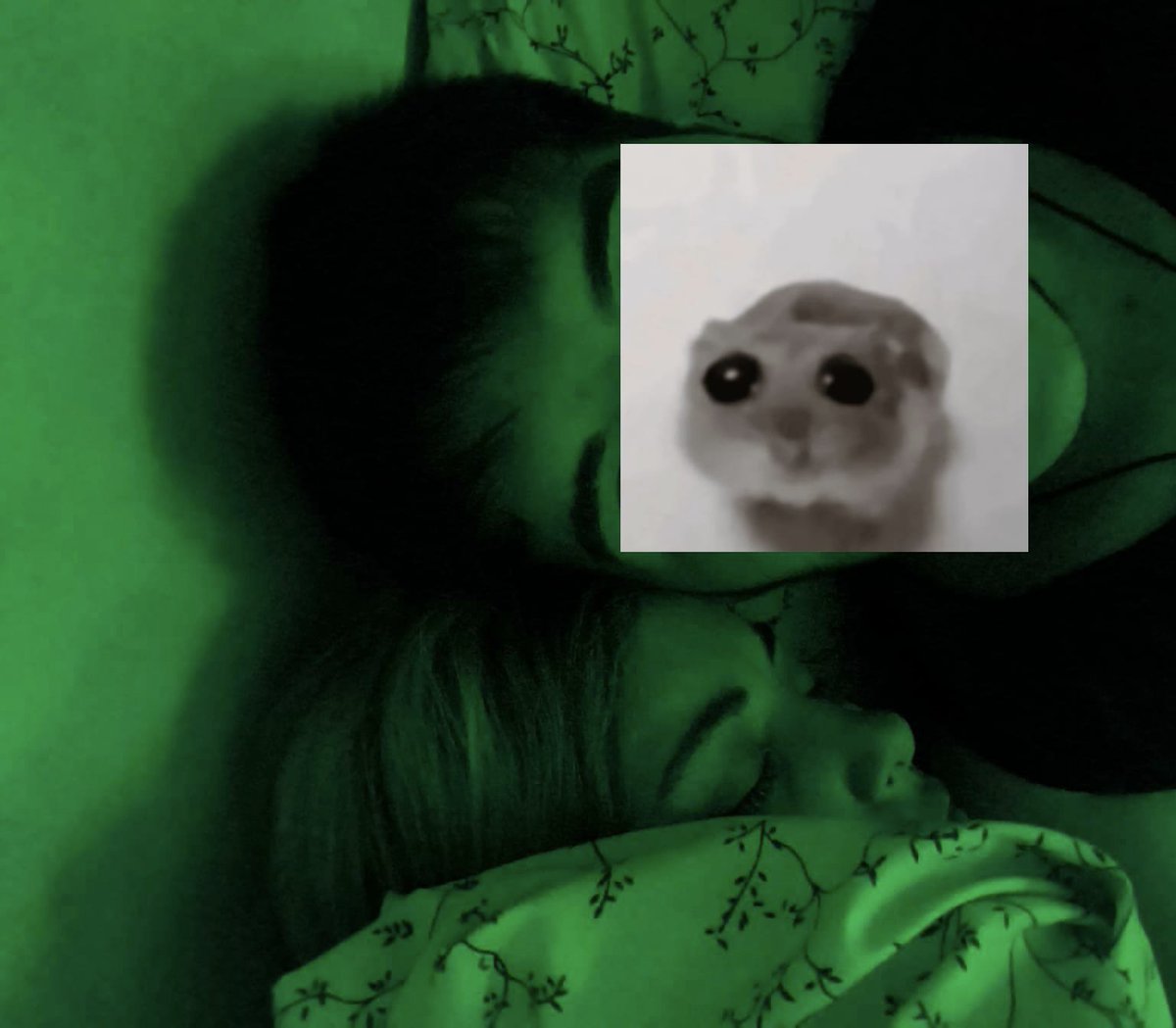 ffranquito tweet media